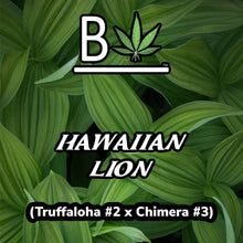 Load image into Gallery viewer, BeLeaf Cannabis Hawaiian Lion Thumbnail