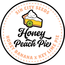 Load image into Gallery viewer, Sin City Seeds Honey Peach Pie 3 Feminised Seeds + Bonus Pack