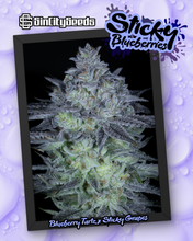 Load image into Gallery viewer, Sin City Seeds Sticky Blueberries