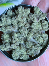 Load image into Gallery viewer, Solfire Gardens Eucalypto Bud