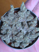 Load image into Gallery viewer, Solfire Gardens Eucalypto Bud 2