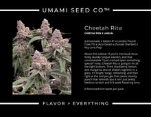 Load image into Gallery viewer, Umami Seed Co Cheetah Rita Strain Card