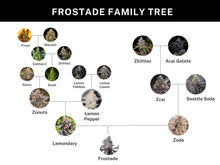 Load image into Gallery viewer, Umami Seed Co Frostade Lineage