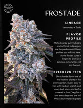 Load image into Gallery viewer, Umami Seed Co Frostade Strain Card