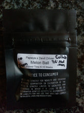 Load image into Gallery viewer, Clearwater Genetics x Tiki Madman Melon Ball 10 Fems Pack Back