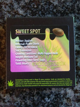 Load image into Gallery viewer, Exotic Genetix Sweet Spot Jigglers x Power Sherb 6 Fems