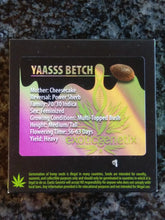 Load image into Gallery viewer, Exotic Genetix Yaaass Betch Cheesecake x Power Sherb 6 Fems