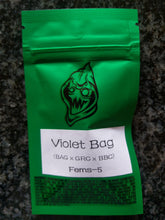 Load image into Gallery viewer, Robin Hood Seeds Violet Bag 3 Feminised Seeds Half Pack
