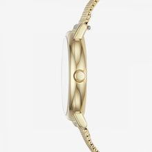 Load image into Gallery viewer, Skagen Watc Signatur SKW2693 Ladies Gold On Mesh Case Shot