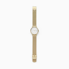 Load image into Gallery viewer, Skagen Watc Signatur SKW2693 Ladies Gold On Mesh Full Length