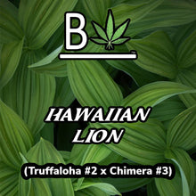 Load image into Gallery viewer, BeLeaf Cannabis Hawaiian Lion Thumbnail
