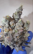 Load image into Gallery viewer, Bloom Seed Co Peach Pineapple 12 Feminised Seeds Flower 1
