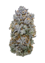 Load image into Gallery viewer, Bloom Seed Co Peach Pineapple 12 Feminised Seeds Flower 1

