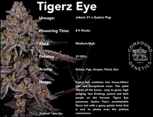 Load image into Gallery viewer, Compound Genetics Tigerz Eye 5 Feminised Seeds Strain Card
