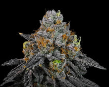Load image into Gallery viewer, LIT Farms White Lemon Gelato Sealed Breeder Pack 6 Feminised Seeds
