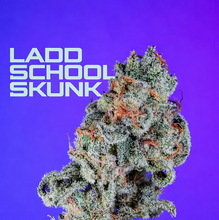 Load image into Gallery viewer, Ladd School Skunk
