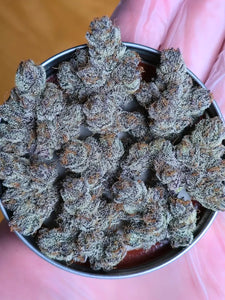 Solfire Gardens Eucalypto Bud 3