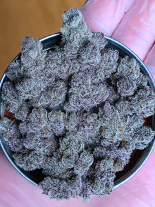 Solfire Gardens Eucalypto Bud 4