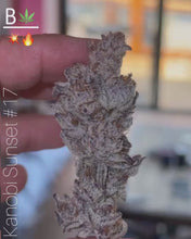 Load and play video in Gallery viewer, Kanobi_sunset_#17
