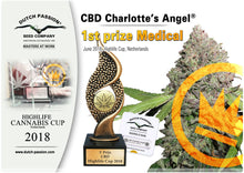 Load image into Gallery viewer, Dutch Passion Charlotte&#39;s Angel 10% CBD Oil 1000mg 10ml

