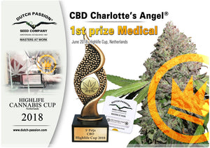 Dutch Passion Charlotte's Angel 10% CBD Oil 1000mg 10ml