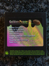 Load image into Gallery viewer, Exotic Genetix Golden Poppy Cheetah Piss x Power Sherb 6 Fems
