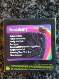 Exotic Genetix Goudaberry Rainbow Chip x Red Pop 11 Regulars