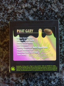 Exotic Genetix Phat Gary Gary x Power Sherb 6 Fems