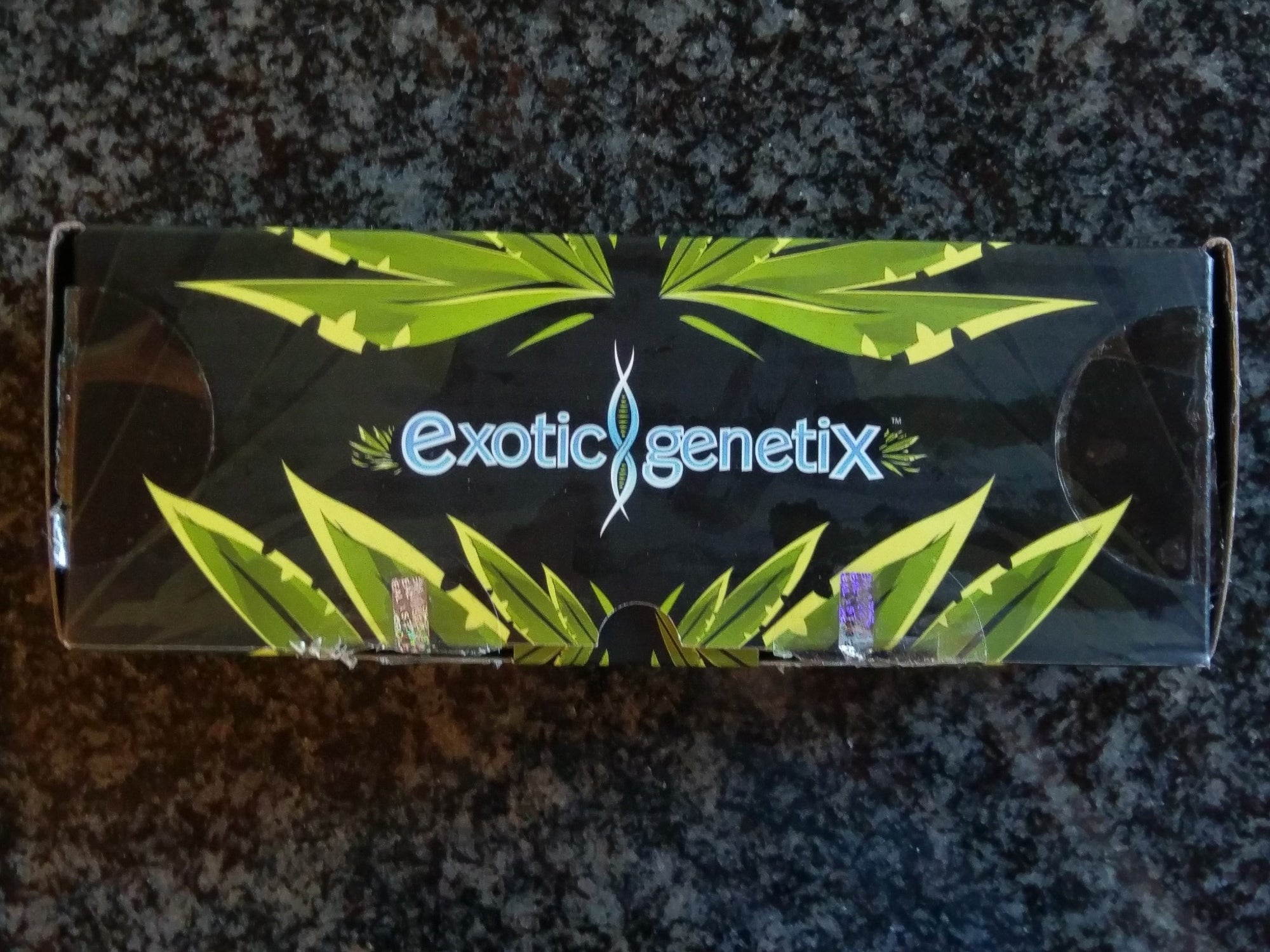 Exotic Genetix Phat Gary Limited Half Pack 3 Fem Seeds|1 Quick Deal