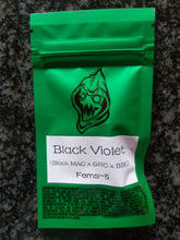 Load image into Gallery viewer, Robin Hood Seeds Black Violet 3 Feminised Seeds Half Pack
