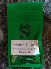 Load image into Gallery viewer, Robin Hood Seeds Violet Blue 5 Fem Pack Front
