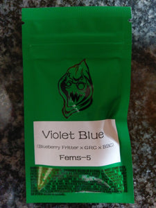 Robin Hood Seeds Violet Blue 5 Fem Pack Front