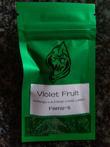 Robin Hood Seeds Violet Fruit 5 Fem Pack Front