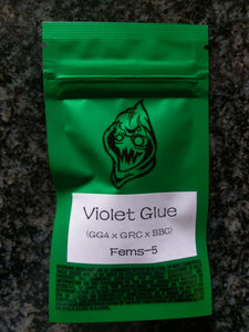 Robin Hood Seeds Violet Glue 3 Feminised Seeds Half Pack