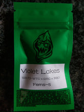 Load image into Gallery viewer, Robin Hood Seeds Violet Lakes Flower 1 5 Fem Pack Front
