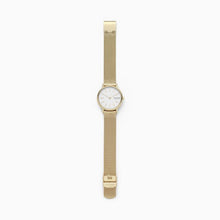 Load image into Gallery viewer, Skagen Watc Signatur SKW2693 Ladies Gold On Mesh Full Length
