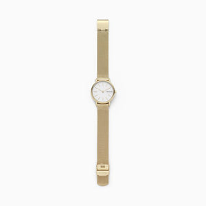 Skagen Watc Signatur SKW2693 Ladies Gold On Mesh Full Length