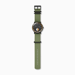 Skagen Signatur Field Watch SKW6541 42mm Black & Tan On Green Silicone Full Length