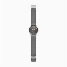 Load image into Gallery viewer, Skagen Signatur SKW6577 Unisex Grey On MeshFull Length
