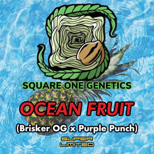 Square 1 Genetics Ocean Fruit Flower 10 Fem Pack Logo
