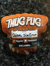 Load image into Gallery viewer, Thug Pug Unicorn Ice Cream 10 Regs Ice Cream Cake x Unicorn Poop 10 Regulars Pack Back

